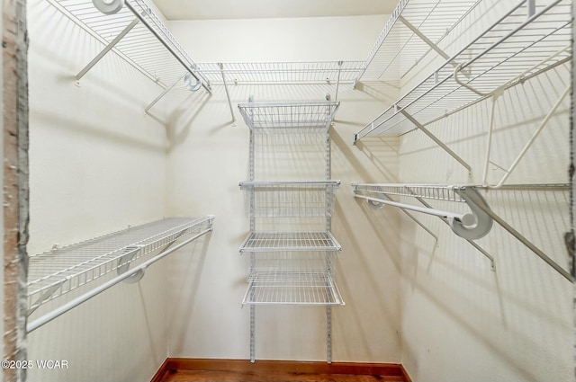 walk in closet featuring wood finished floors