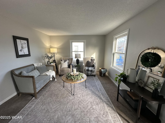 living area featuring baseboards, carpet, and a textured ceiling