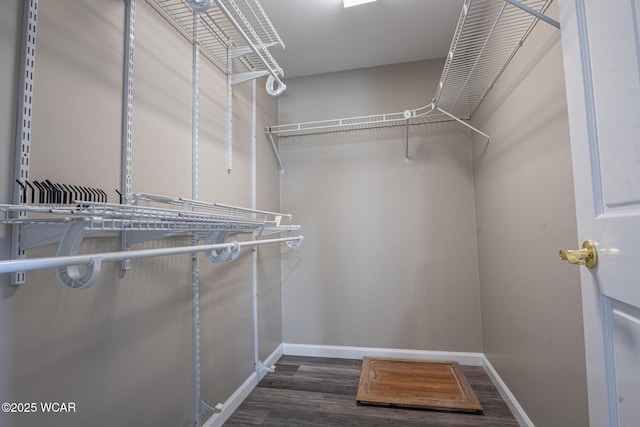 spacious closet featuring dark hardwood / wood-style flooring