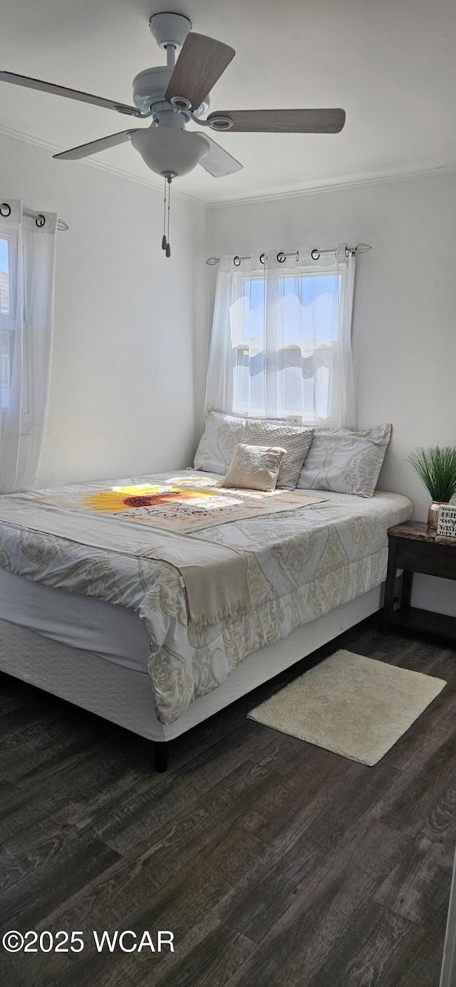 bedroom featuring ceiling fan and wood finished floors