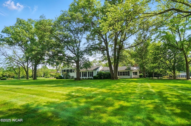 2297 June Dr, Lima, OH 45805 - view of grassy yard