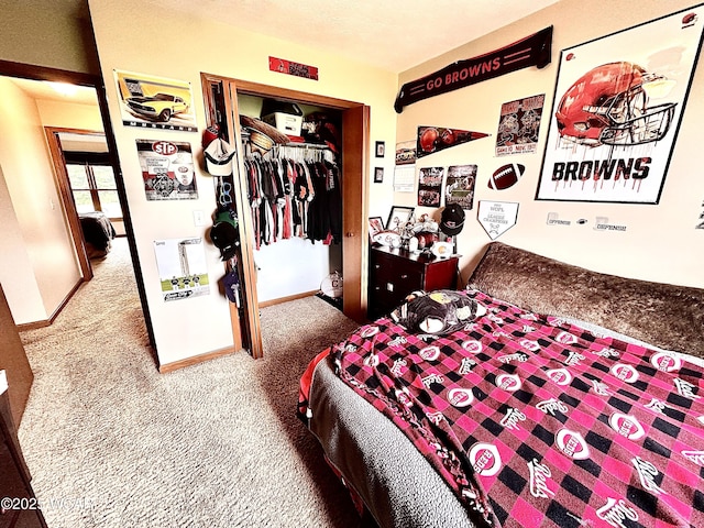 4095 N Cole St, Lima, OH 45807 - bedroom featuring carpet floors, a closet, and baseboards