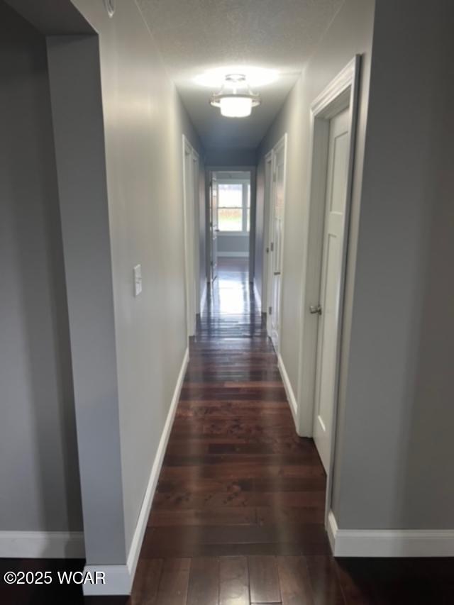 hallway featuring dark wood-type flooring