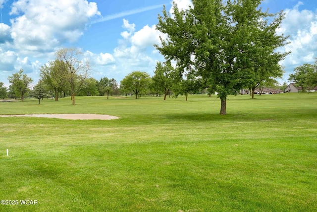 17210 State Route 694, Ottawa, OH 45875 - surrounding community with a yard