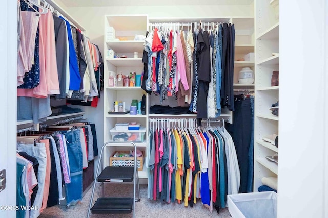 17210 State Route 694, Ottawa, OH 45875 - view of walk in closet