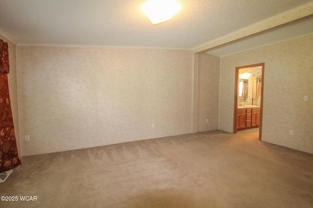 empty room with light colored carpet, a textured ceiling, and ornamental molding