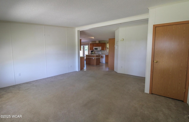 spare room featuring light carpet and a textured ceiling