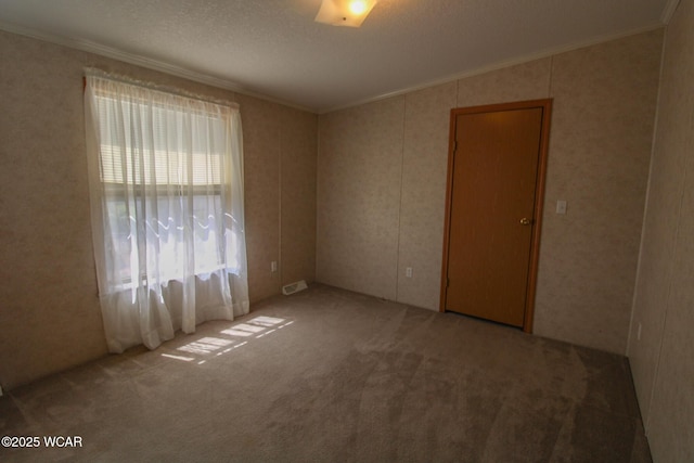 spare room with visible vents, carpet floors, a textured ceiling, and crown molding