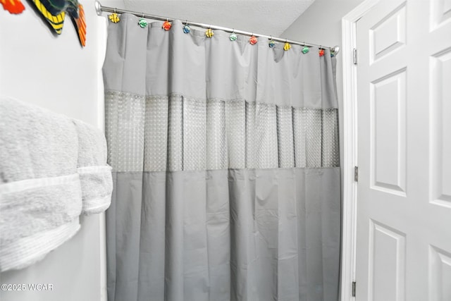 7407 Mingo Way, Russells Point, OH 43348 - view of bathroom