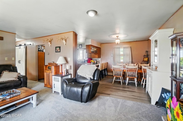 504 E 6th St, Delphos, OH 45833 - living area featuring a barn door
