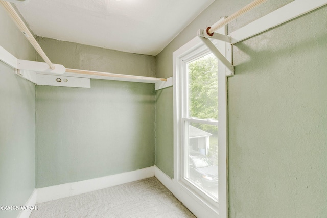 1157 W High St, Lima, OH 45805 - walk in closet featuring carpet floors