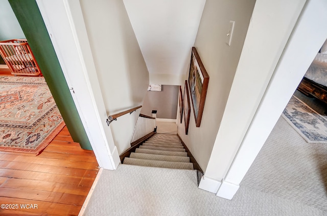 staircase with wood-type flooring