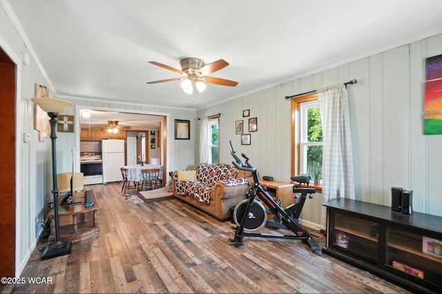 409 S Race St, Van Wert, OH 45891 - exercise room featuring ceiling fan, crown molding, and wood finished floors