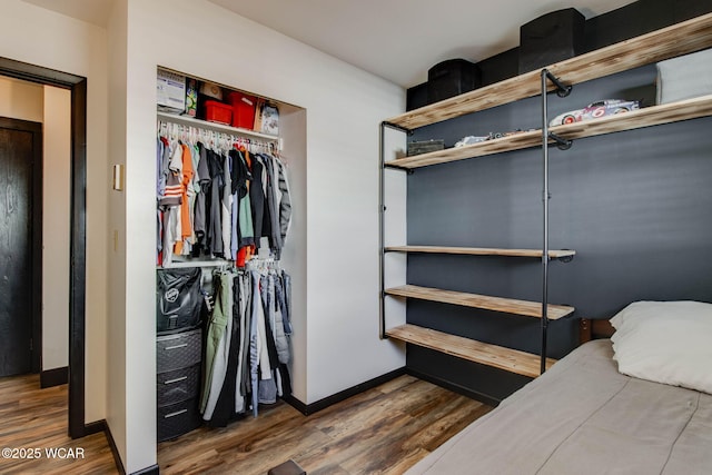 bedroom featuring wood-type flooring and a closet