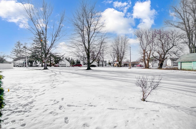 view of snowy yard