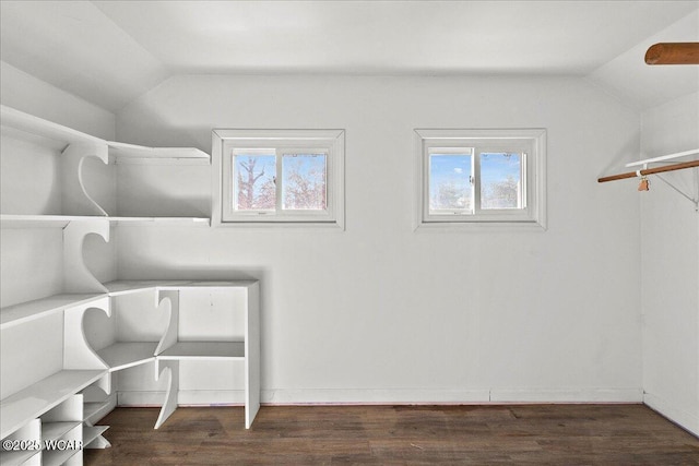 424 N Market St, Kenton, OH 43326 - spacious closet featuring vaulted ceiling and wood finished floors
