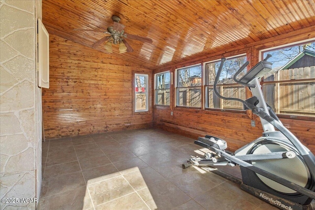 424 N Market St, Kenton, OH 43326 - exercise area with wooden walls, vaulted ceiling, ceiling fan, and plenty of natural light