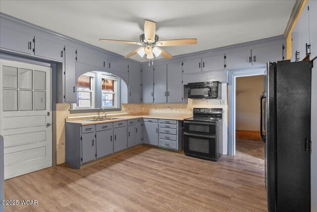 424 N Market St, Kenton, OH 43326 - kitchen with a sink, light wood-style floors, gray cabinetry, ceiling fan, and black appliances