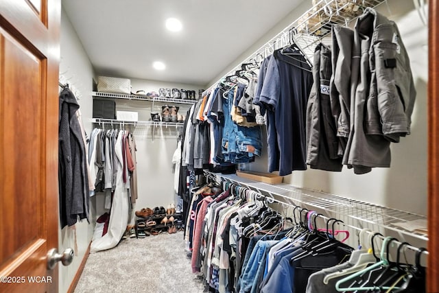 13286 Arrowhead Dr, Findlay, OH 45840 - spacious closet with carpet