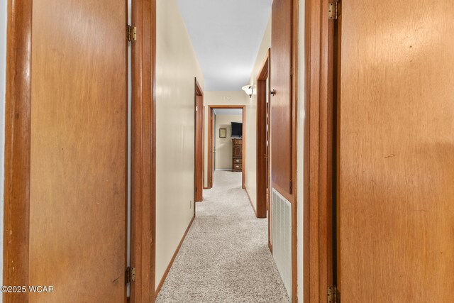 3540 Yoakam Rd, Lima, OH 45806 - corridor featuring light colored carpet
