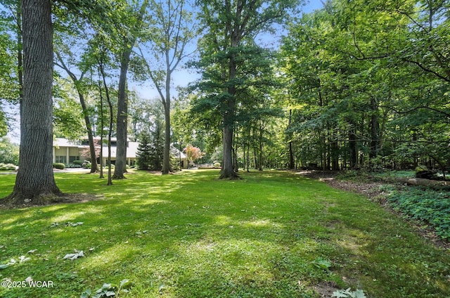 4211 Ft Amanda Rd, Lima, OH 45805 - photo 50