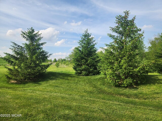 3529 Camden Pl, Lima, OH 45806 - photo 5