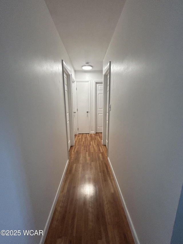 5151 Pheasant St, Lima, OH 45807 - photo 22