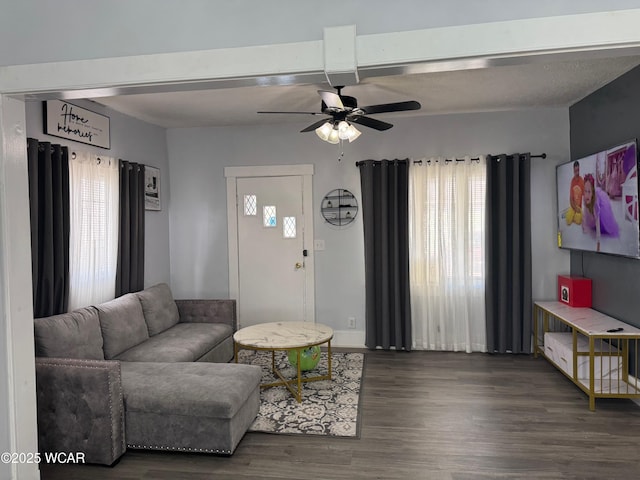 110 Heisel St, Kenton, OH 43326 - living area featuring healthy amount of natural light, ceiling fan, and wood finished floors