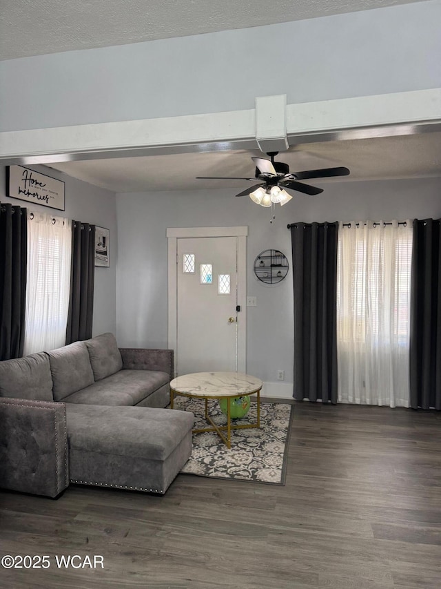 110 Heisel St, Kenton, OH 43326 - living area featuring a ceiling fan and wood finished floors