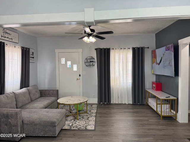 110 Heisel St, Kenton, OH 43326 - living room featuring plenty of natural light, ceiling fan, and wood finished floors