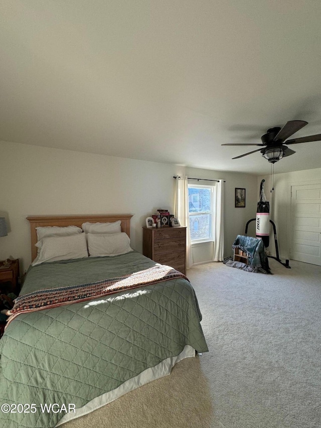 119 E N St, Kenton, OH 43326 - carpeted bedroom with ceiling fan
