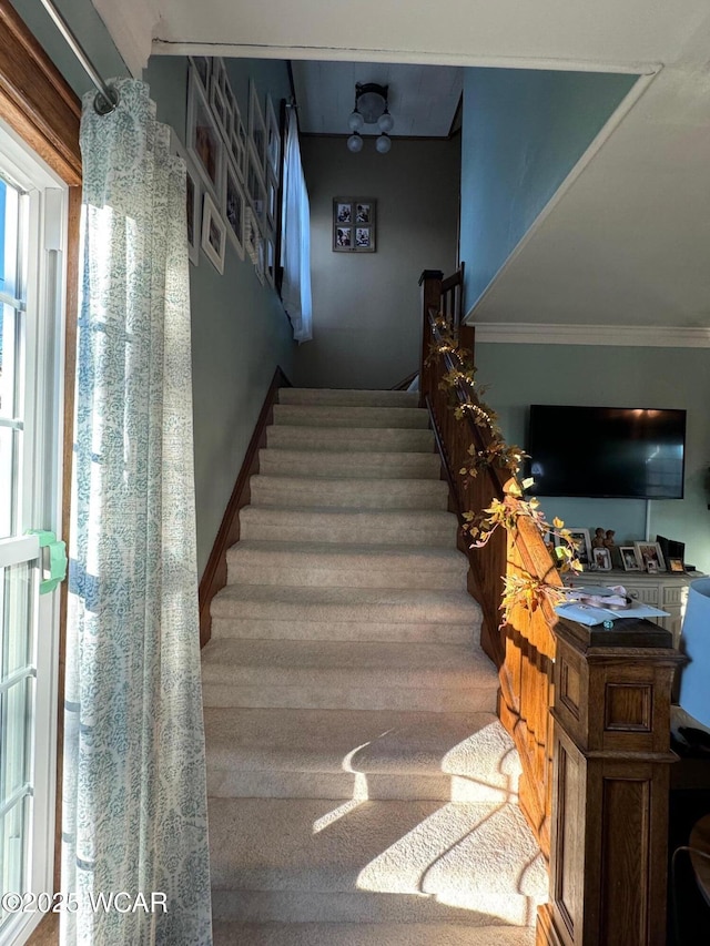 119 E N St, Kenton, OH 43326 - staircase featuring crown molding