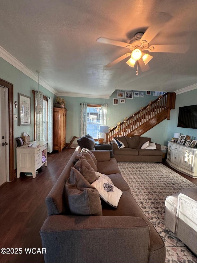 119 E N St, Kenton, OH 43326 - living area featuring a ceiling fan, wood finished floors, ornamental molding, stairs, and a textured ceiling
