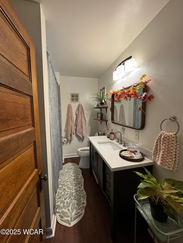 119 E N St, Kenton, OH 43326 - bathroom with wood finished floors, vanity, and curtained shower