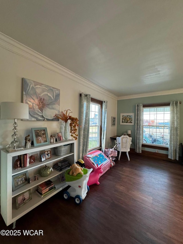 119 E N St, Kenton, OH 43326 - game room with ornamental molding and wood finished floors