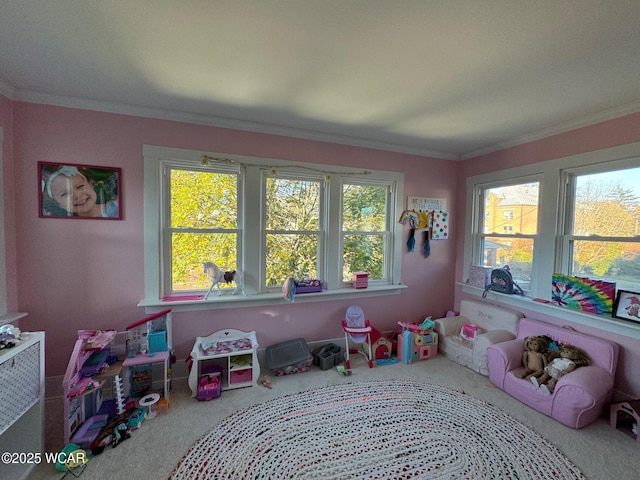 119 E N St, Kenton, OH 43326 - rec room with carpet flooring, healthy amount of natural light, and ornamental molding