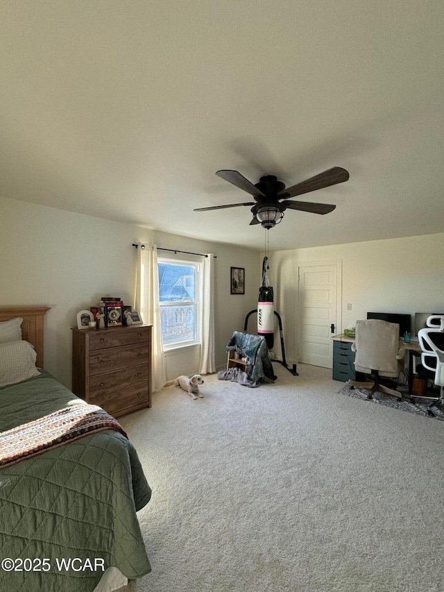 119 E N St, Kenton, OH 43326 - carpeted bedroom featuring an office area and a ceiling fan