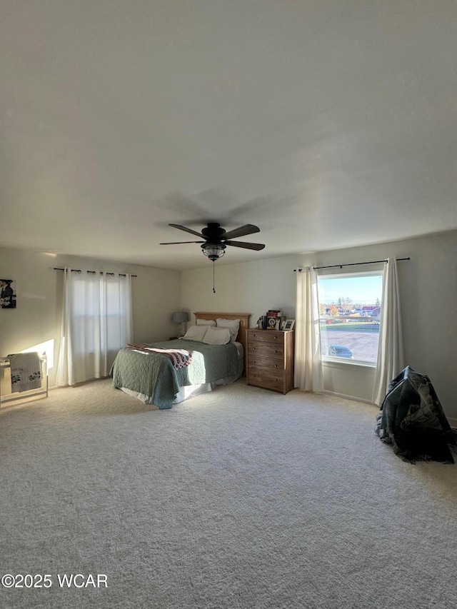119 E N St, Kenton, OH 43326 - bedroom with carpet flooring and ceiling fan