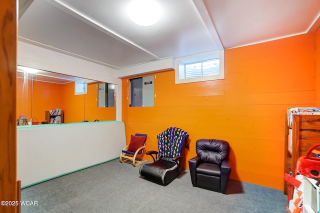 sitting room featuring electric panel and carpet