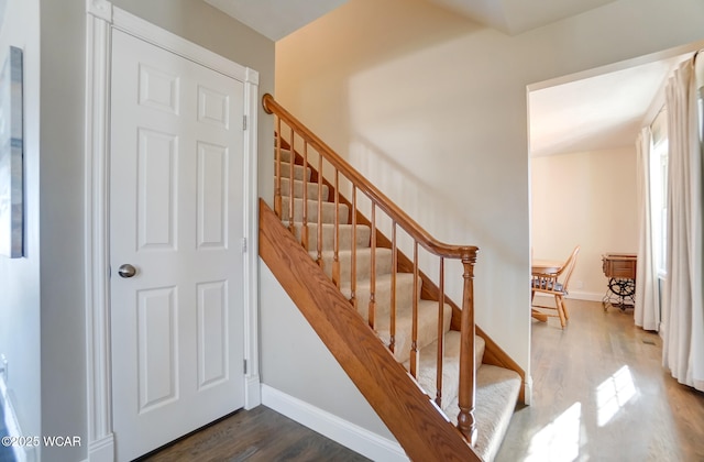 staircase with wood-type flooring