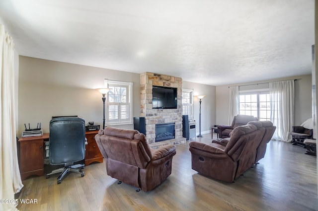 living room with a stone fireplace, wood-type flooring, and plenty of natural light