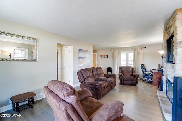 living room with a fireplace and wood-type flooring