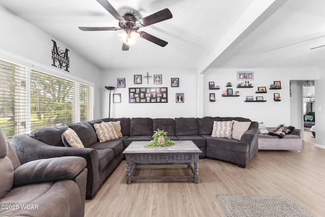 2435 Bible Rd, Lima, OH 45801 - living room with a ceiling fan and light wood-style floors