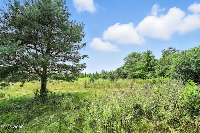 4619 N Thayer Rd, Lima, OH 45807 - photo 47