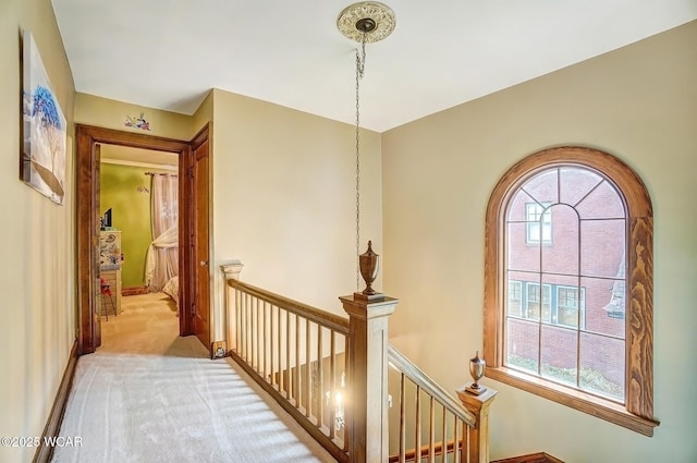 corridor with light carpet and a healthy amount of sunlight