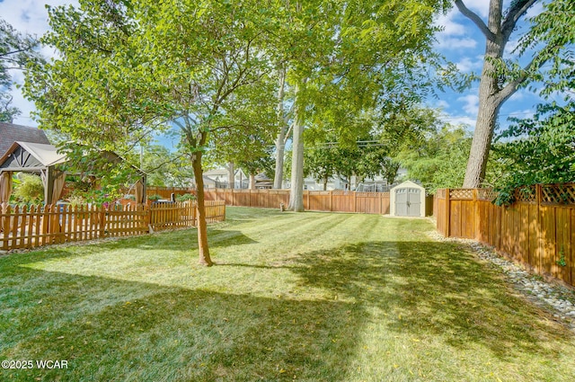 view of yard featuring a storage unit