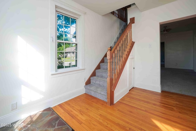 503 N Main St, Bluffton, OH 45817 - staircase with wood finished floors and a ceiling fan