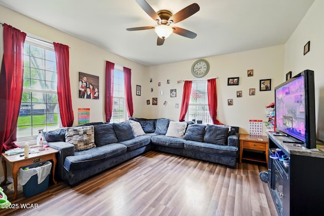 605 Hendricks Ave, Saint Marys, OH 45885 - living room featuring ceiling fan and wood finished floors