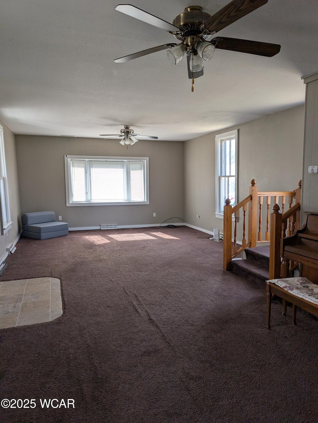 217 Center St, Vaughnsville, OH 45893 - unfurnished living room featuring carpet flooring, a ceiling fan, baseboards, and a wealth of natural light