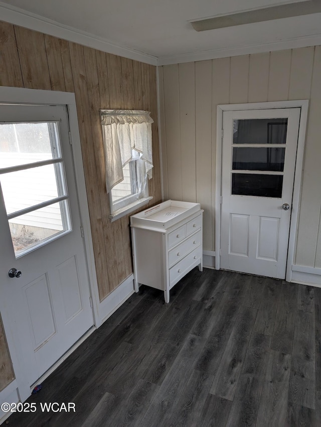 217 Center St, Vaughnsville, OH 45893 - doorway featuring dark wood-type flooring, a healthy amount of sunlight, baseboards, and wood walls